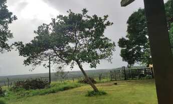 Imagem 2: Sítio / fazenda em itaporanga