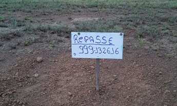 Imagem: Aquaville tambaqui na principal