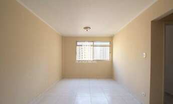 Imagem 2: APARTAMENTO 2 DORMITÓRIOS NA ACLIMAÇÃO À VENDA