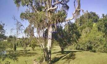 Imagem 3: TERRENO RESIDENCIAL em Florianópolis - SC, Canasvieiras