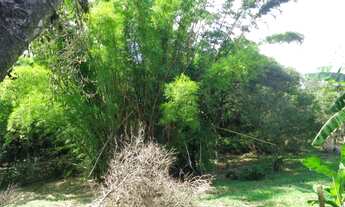 Imagem 6: Fazenda/Sítio/Chácara para venda tem 109000 metros quadrados em Ratones - Florianópolis