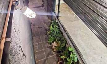 Imagem 6: Casa com 2 dormitórios para alugar, 60 m² por R$ 3.999,99 - Pinheiros - São Paulo/SP