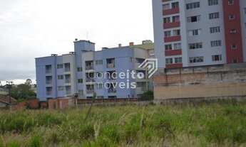 Imagem 5: Terreno - Centro