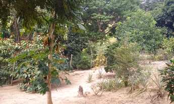 Imagem 6: SÍTIO EM ITAPINA APROVEITE