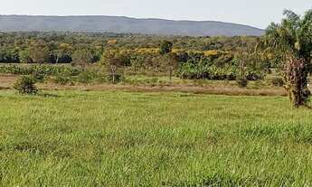 Imagem 6: Vendo 28 Héctares próximo capão verde . Mt