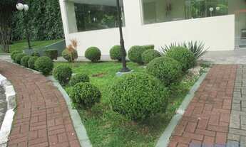 Imagem 1: APARTAMENTO - MORUMBI - SP