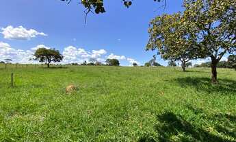 Imagem: Chácara 4 alqueires em Uruana-go