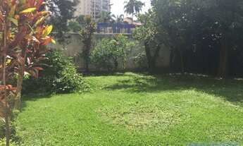 Imagem 5: CASA ASSOBRADADA - ALTO DE PINHEIROS - SP