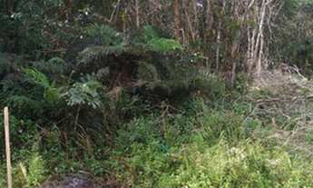 Imagem: Terreno com 241 m², aceita entrada e parcelas