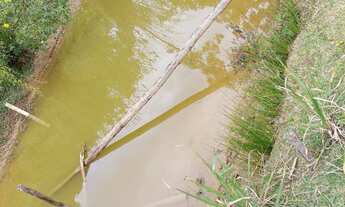 Imagem 3: Sitio no trevo de munisfreire