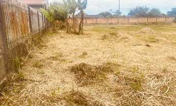 Imagem: TERRENO NO BAIRRO SÃO JOÃO