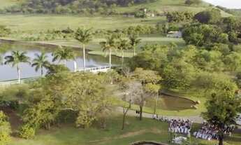 Imagem 6: Fazenda dupla aptidão , Porteira Fechada - Cornélio Procópio - PR