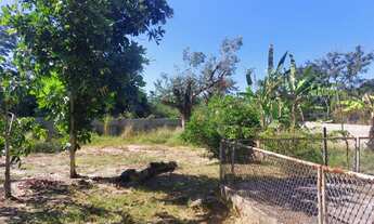 Imagem 5: Sitio em Tingua ( Iguaçu Velho
