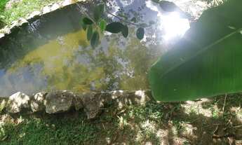 Imagem 6: Fazenda/Sítio/Chácara para venda possui 350 metros quadrados com 2 quartos