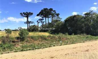 Imagem 3: Excelente terreno em um dos pontos mais altos de Garibaldi!