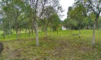 Imagem 4: Sede campestre do CDL de Taió, na localidade de Bracatinga - AREA INDUSTRIAL - Taió-SC