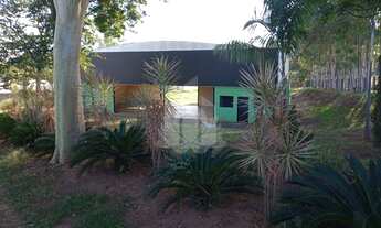 Imagem 7: SITIO RURAL em TANABI - SP, TANABI