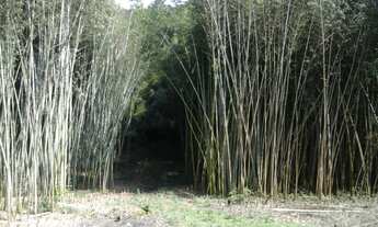 Imagem 2: Eduardo. Belissima chacara na região do parelheiros, agende hoje mesmo sua visita veeem