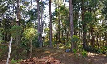 Imagem 6: Sítio em embuguacu