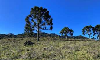 Imagem 4: Terreno próximo ao Morro da Igreja em Urubici