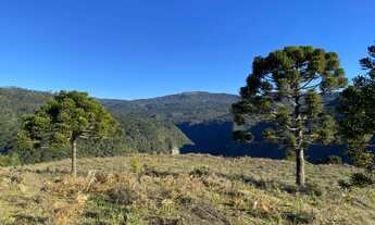 Imagem 2: Terreno próximo ao Morro da Igreja em Urubici