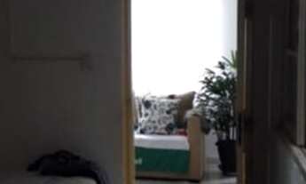 Imagem 3: Casa Casa com 2 dormitórios