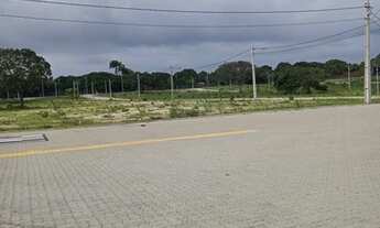 Imagem: Loteamento Mbv Caucaia Estrada Velha Do