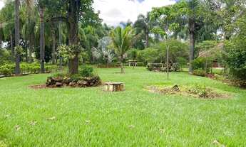 Imagem 6: Fazendinha com área de 29.000m² em Mateus leme MG