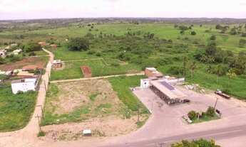 Imagem 5: Terreno com 300m² no asfalto na BA 502 em Conceição da Feira