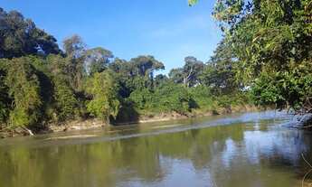 Imagem 2: Vendo chácara Rio dos boi