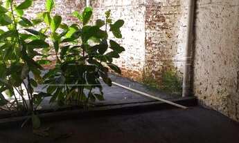 Imagem 4: Araraquara - Casa Padrão - Vila Sedenho