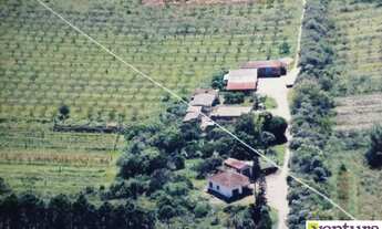 Imagem 2: Sítio à Venda Fazenda / sítio com venda por R$620.500