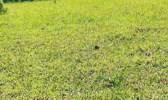 Imagem 2: GRANDE OPORTUNIDADE DE LOTE!!