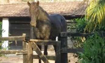 Imagem 2: Fazenda/Sítio/Chácara para venda tem 12000 metros quadrados com 5 quartos