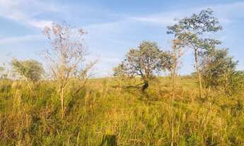 Imagem 2: Lote/Terreno para venda possui 600 metros quadrados em Centro - Guarulhos - SP