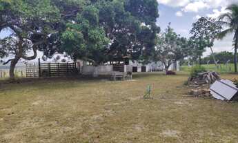 Imagem 7: Sítio / fazenda em itaporanga