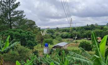 Imagem 4: Chácara - Chácara Santa Margarida - Campinas