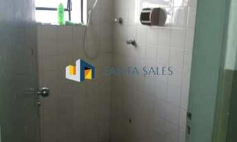 Imagem 6: MARAVILHOSO GALPÃO ACLIMAÇÃO