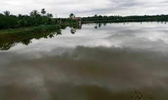 Imagem 7: Fazenda/Sítio/Chácara para Criaçao de Camarão