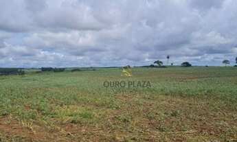 Imagem 5: Fazenda com 2 dormitórios à venda, 2468400 m² por R$ 16.320.000 - Zona Rural - Nhandeara/S