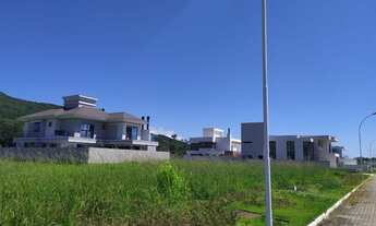 Imagem: VIVA COM UMA NATUREZA EXUBERANTE AO SEU