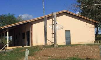 Imagem 4: Fazenda para Venda em Miracema do Tocantins, Miracema, 4 dormitórios, 2 suítes, 3 banheiro