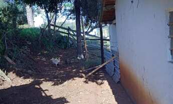 Imagem 5: Vendo sítio em Angatuba