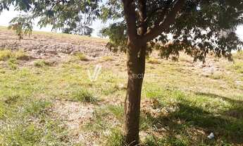 Imagem: Terreno - Jardim Ibirapuera - Campinas