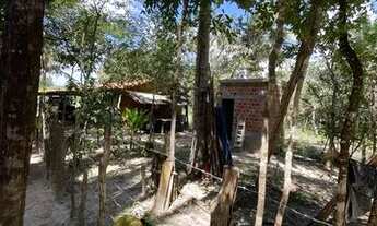 Imagem 7: Casa no interior de Altos-PI