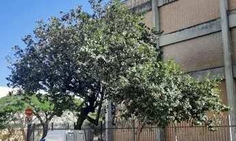 Imagem 2: Galpão/Depósito/Armazém para aluguel possui 1.854m² no parque novo mundo - SP