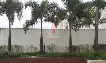 Imagem 2: São Paulo - Apartamento Padrão - VILA BELA