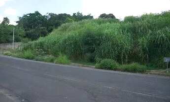 Imagem 5: área - Parque Taquaral - Campinas