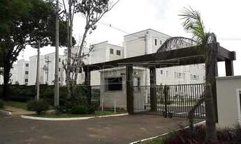 Imagem 7: Sao Carlos - Apartamento Padrão - Residencial Parati