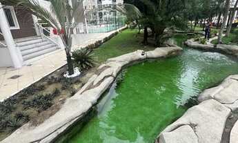 Imagem 2: Smile passeio do Mindu